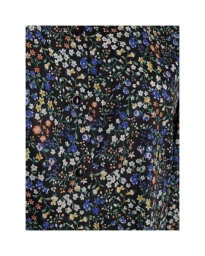 Moves by Minimum - IMALA 