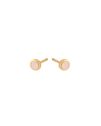 Pernille Corydon - SHINE ROSE EARSTICKS