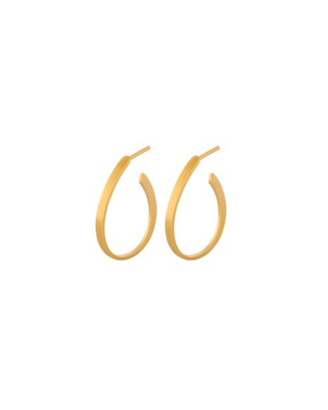 Pernille Corydon - BERLIN CREOLES