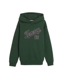 Tommy Hilfiger Kids  - COLLEGE TERRY HOODY