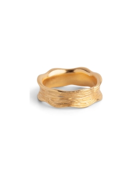 Enamel - ANE RING GULD