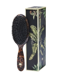 Fan Palm - REMIUM BRISTLES BRUSH Fan Palm - REMIUM BRISTLES BRUSH