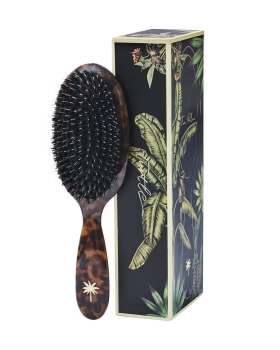 Fan Palm - REMIUM BRISTLES BRUSH