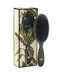 Fan Palm - MEDIUM BRISTLES BRUSH ARMY Fan Palm - MEDIUM BRISTLES BRUSH ARMY