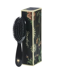 Fan Palm - SMALL BRUSHES STAR DUST