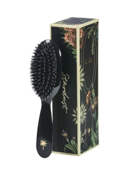 Fan Palm - SMALL BRUSHES STAR DUST