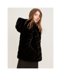 SABA JACKET