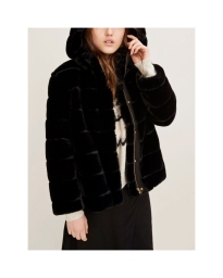 SABA JACKET